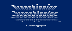 Home 219 Dropshipping 101: The Ultimate Guide to Dropshipping