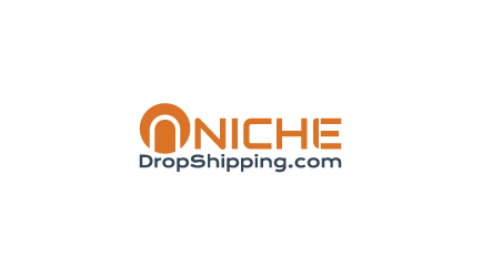 nichedropshipping logo video