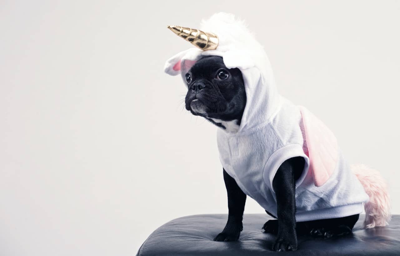 Wholesale and Dropship Halloween Costumes 2 2-Why Halloween Costumes Are a Great Niche for Your Online Business