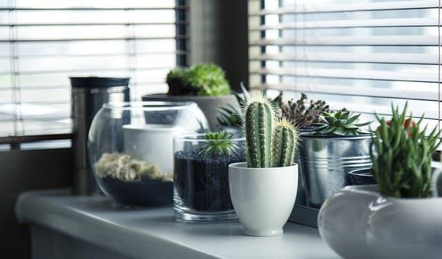 10 Best-Selling Home and Garden Products in 2022 2 Best selling home and garden products
